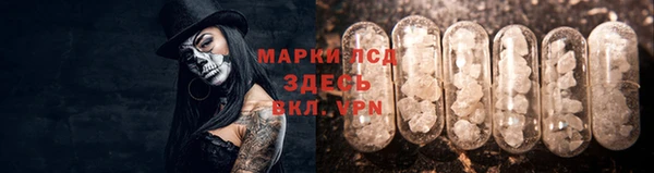 гидропоника Балахна