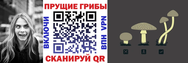 Галлюциногенные грибы Cubensis  Южно-Сухокумск 